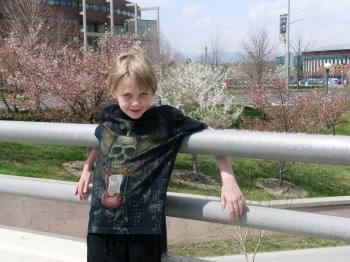 DSII my graphic element