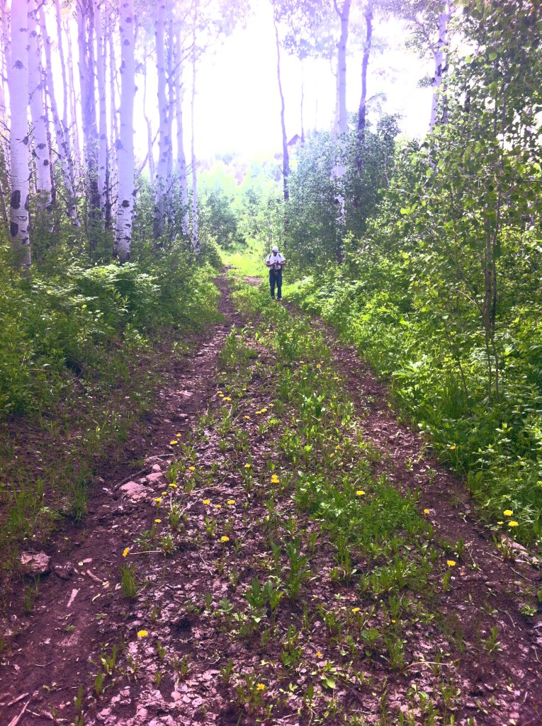 Dad hiking up the trail at Dan and Carol's cabin.